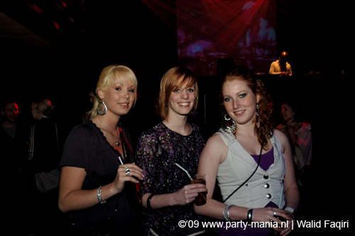 090306_012_streamers_paard_partymania
