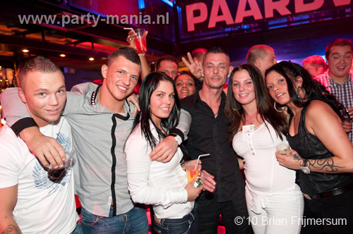 100227_013_franchise_paard_brian_partymania