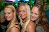 100227_065_franchise_paard_brian_partymania