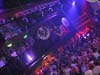 080531_019_franchise_paard_partymania