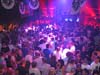 080531_020_franchise_paard_partymania