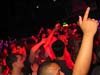 080531_033_franchise_paard_partymania