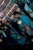 081031_018-swingbeatz_partymania