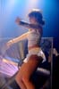 090228_046_expornstar_paard_ronald_partymania