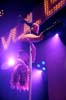 090228_080_expornstar_paard_ronald_partymania