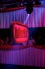 090228_131_expornstar_paard_ronald_partymania