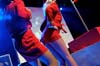 090228_147_expornstar_paard_ronald_partymania