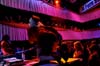 090228_151_expornstar_paard_ronald_partymania