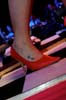 090228_153_expornstar_paard_ronald_partymania