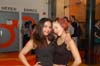 090306_025_streamers_paard_partymania