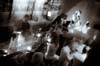 090327_007_entourage_erotique_partymania