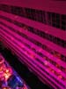 090328_305_haags_ondernemersgala_righttoplay_stadhuis_partymania