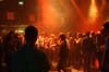 090416_009_paard_no_partymania