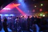 090416_019_paard_no_partymania