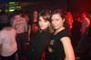 090416_031_paard_no_partymania