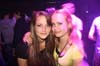 090416_053_paard_no_partymania