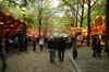 090429_008_koninginnenach_partymania