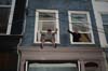 090429_011_koninginnenach_partymania