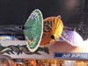 090522_066_tong_tong_fair_partymania