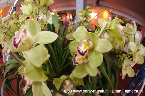 090528_034_tong_tong_fair_partymania