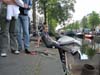090613_071_jazz_in_de_gracht_partymania