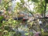 090613_085_jazz_in_de_gracht_partymania