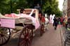090620_149_roze_zaterdag_partymania