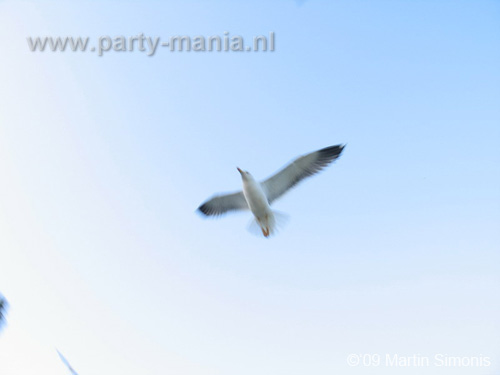 090718_106_african_festival_partymania