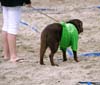 090802_035_haagse_horeca_beachvolleybal_partymania