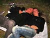 090829_294_beatstad_partymania