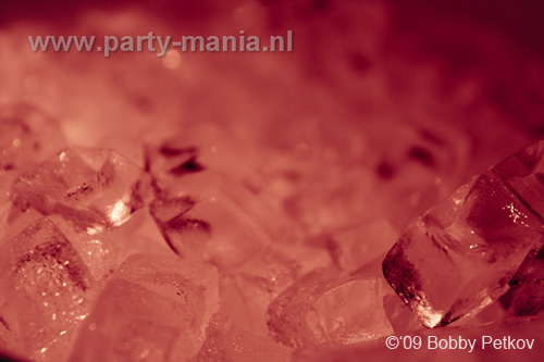 091008_017_no_paard_partymania