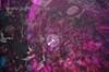100403_044_los_partymania