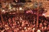 100429_187_koninginnenacht_partymania
