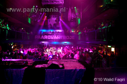 100429_048_paard_partymania