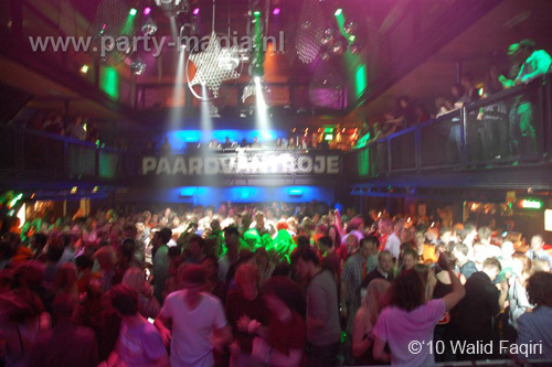 100429_053_paard_partymania