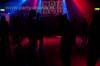 100506_068_paard_no_partymania