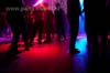 100506_080_paard_no_partymania