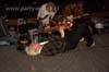 100611_047_jazz_in_de_gracht_partymania