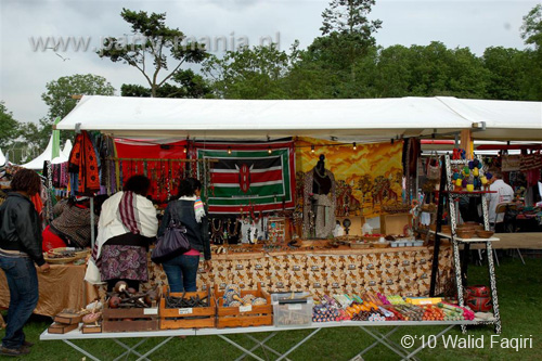 100613_020_african_festival_partymania