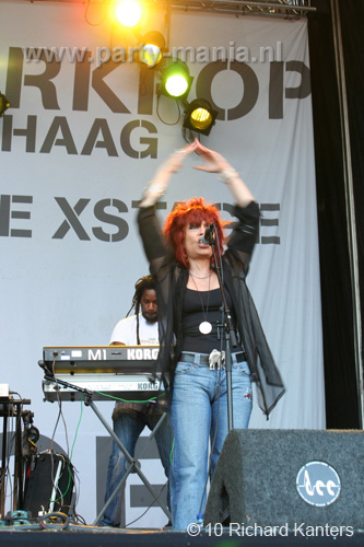 100627_197_parkpop_partymania