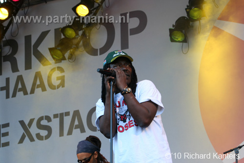 100627_211_parkpop_partymania