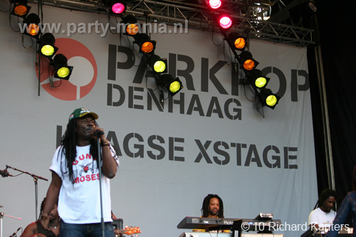 100627_219_parkpop_partymania