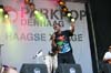 100627_088_parkpop_partymania