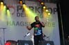 100627_089_parkpop_partymania