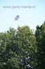 100627_171_parkpop_partymania