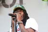 100627_213_parkpop_partymania