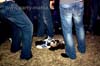 101022_014_dr_lektroluv_partymania