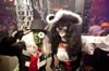 101030_093_manjefiek_partymania