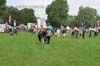 110626_000_parkpop_zuiderpark_partymania_denhaag