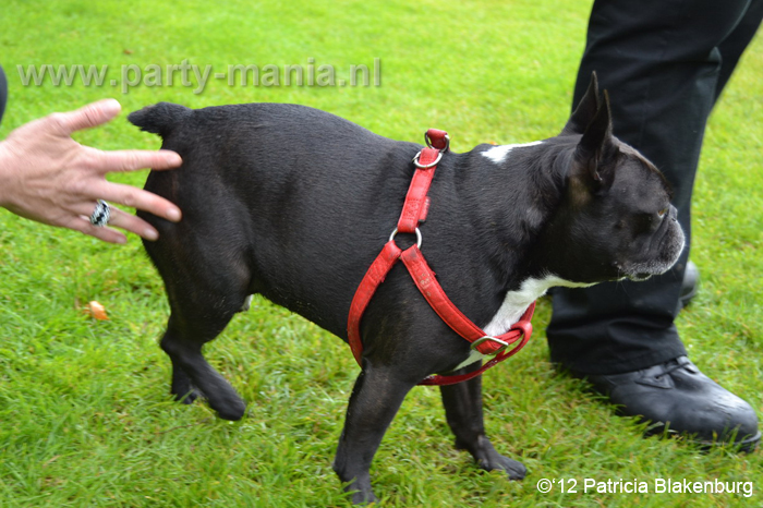 120624_033_parkpop_zuiderpark_denhaag_partymania_2